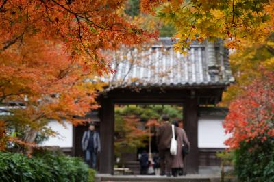 20211123-4 京都 最勝院の紅葉と、奥之院の静けさと