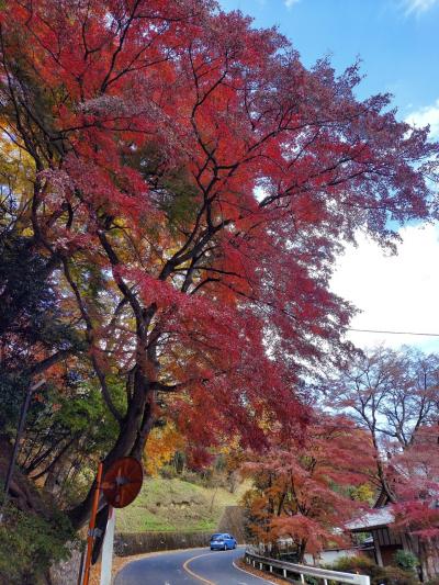 晩秋の伊香保温泉