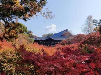 秋の京都 1泊2日でも満喫★①　東福寺・清水寺・東寺