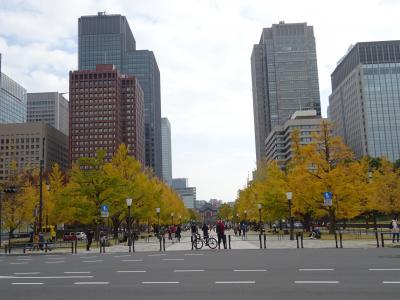 神田から大手町～皇居～銀座～築地～汐留　欲張り秋のハイキング