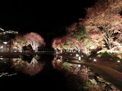 秋の松島　紅葉と牡蠣三昧の旅（前編）