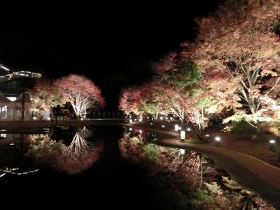 松島 奥松島 紅葉 に関する旅行記 ブログ フォートラベル 宮城県 松島 奥松島 紅葉 に関する旅行記 ブログ フォートラベル 宮城県