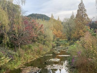 松山高知旅その3   吉良川まちなみと室戸岬、北川村モネの庭