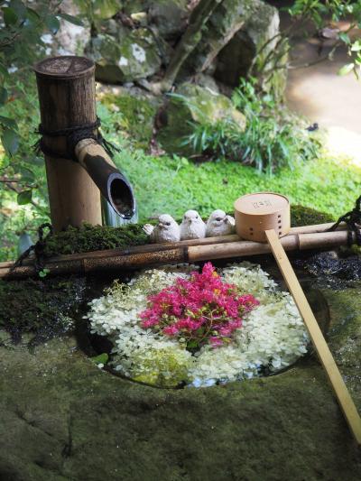 2021年　るなさんと駆け巡る夏の京都【2】花手水＆食べ歩きとGUCCI BAMBOO HOUSE