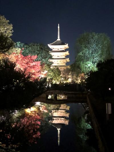 2021年11月紅葉を求めて京都へ
