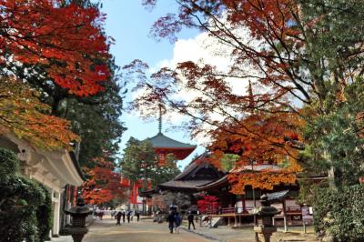 南紀の旅③　紅葉の高野山