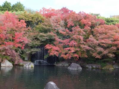 好古園の秋を散策♪　～御屋敷の庭から夏木の庭の紅葉～
