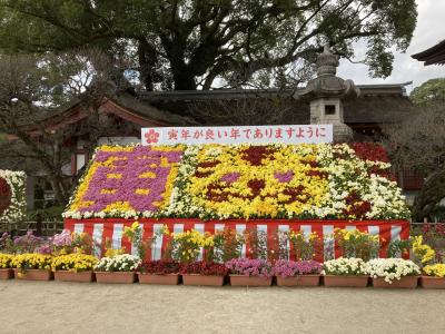 日帰りで、福岡ひとり旅