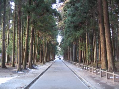 瑞巌寺は平成の大修理の真っ最中！