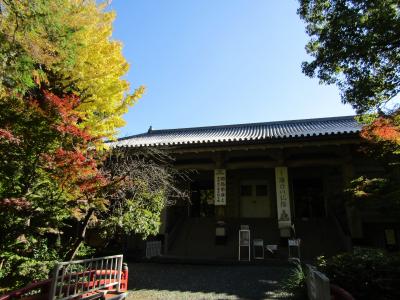 鎌倉国宝館の秋景色－2021年秋