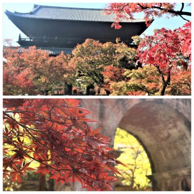 山科に1泊して、滋賀や京都の紅葉を楽しむ♪　＜後編＞「毘沙門堂門跡・勧修寺・南禅寺」
