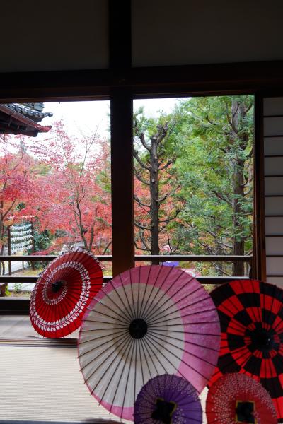 20211125-1 京都 勝林寺の秋の特別公開。花手水に紅葉に和傘に。