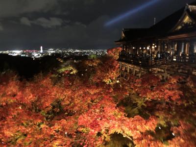 京都紅葉狩り♪　清水寺ライトアップと真如堂・金戒光明寺・三十三間堂・智積院