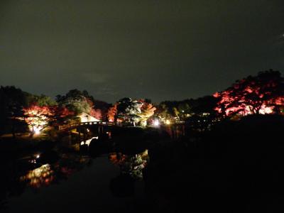 仁徳天皇陵のすぐ隣りの『大仙公園』で紅葉ライトアップ／ちょこっと皆既月食の写真もあります