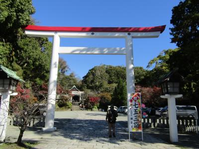 鎌倉宮の秋風景－2021年秋