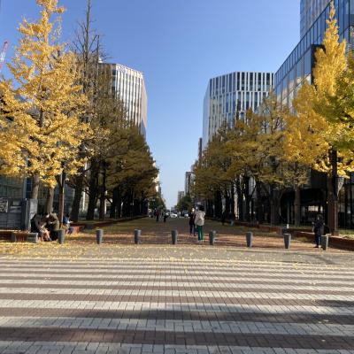 北海道のたび　2021年11月（4）札幌（京王プラザホテル、赤れんが庁舎、時計台、北海道大学）
