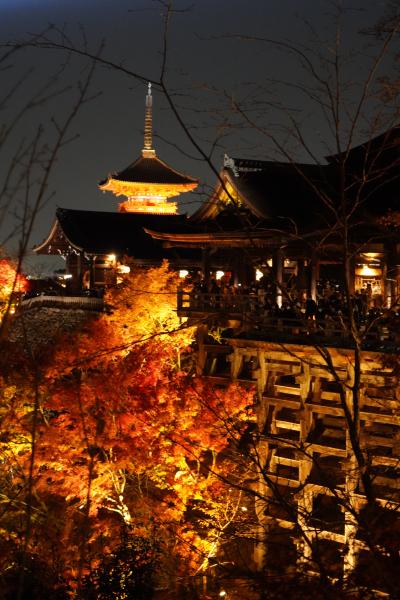 20211125-3 京都 清水さんの夜間拝観招待券をいただいたんで、人混み覚悟で行ってみる…