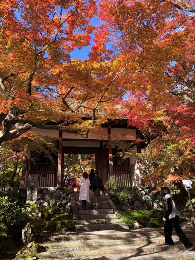 2021年秋は紅葉真っ盛りの京都☆快晴の3日目常寂光寺&amp;嵯峨野トロッコなど