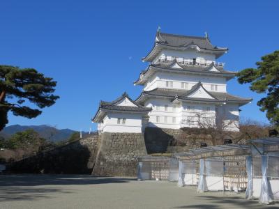 箱根・三浦半島一周サイクリング　箱根八里は自転車で越して編 2021年11月25日(3/3)