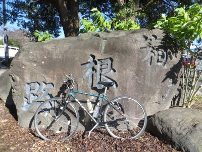 箱根・三浦半島一周サイクリング　箱根八里は自転車で越して編 2021年11月23日(1/3)