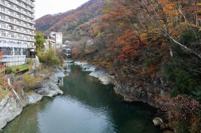 県民割引でみなかみジュラク