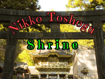 Kuroiso＆Nasushiobara Solo Traveler Nikko＆鰻 Day 2 / 2021年11月17日   