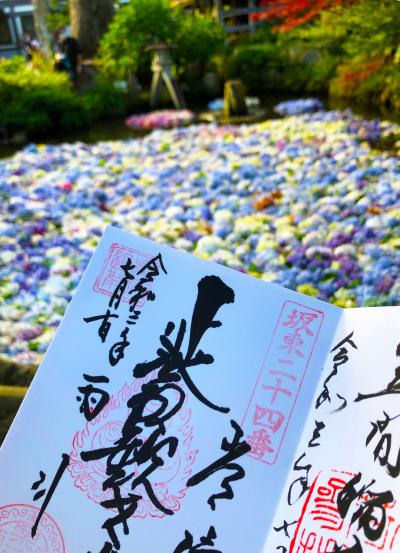 1年越し!雨引観音の水中花