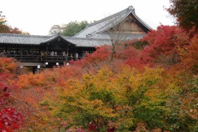 紅葉真っ盛りな東福寺 ＆ 東寺