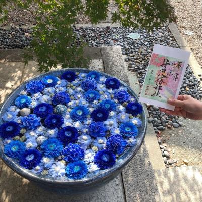 実家から　11月の行田『花手水ｗeek』と御朱印巡り