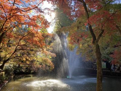 新潟市アグリパーク　宿泊記