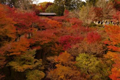 そうだ、京都へ行こー。素晴らしい東福寺の紅葉はまだ間に合います　2021.11.26