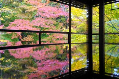 秋の京都旅行。最終日は紅葉の瑠璃光院へ