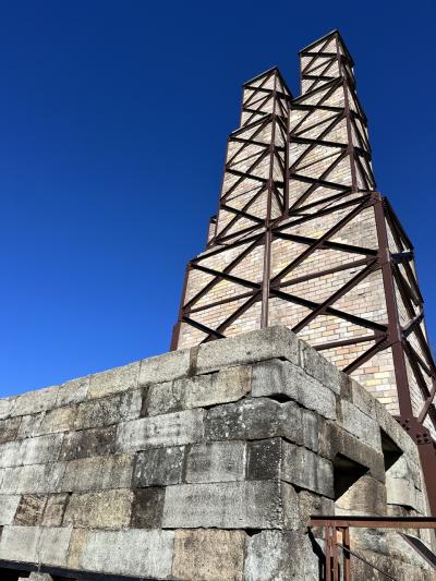 伊豆一の宮三嶋大社と伊豆箱根鉄道駿豆線「世界遺産と名所を公共交通で結ぶ秋晴れの日帰り旅」