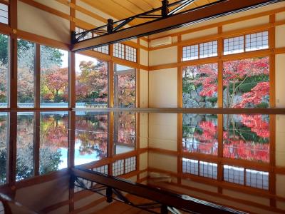 『紅葉浄土 床もみじ特別公開』桐生　宝徳寺へ行ってきました！！