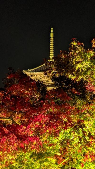 2021年11月京都紅葉紀行⑥東寺ライトアップ