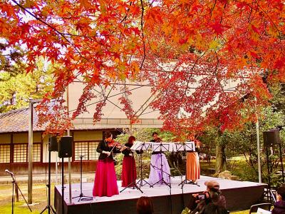 名古屋市内の紅葉を探しに気ままにぶらり旅