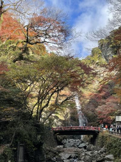 2021年11月　紅葉狩り・箕面大滝と神峰山寺