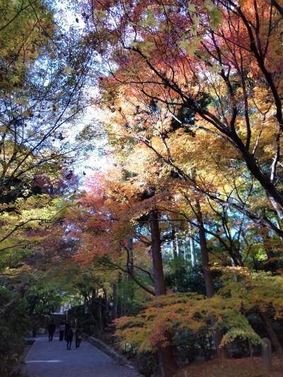 紅葉の京都 (3)   金閣寺・龍安寺