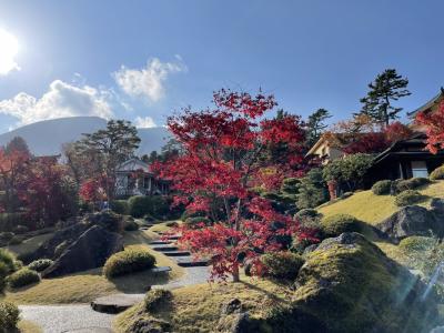 姉妹で秋の箱根旅　~箱根美術館で紅葉・田むら銀かつ亭・いろり家