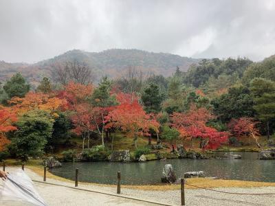 2021年秋は紅葉真っ盛りの京都☆雨の2日目天龍寺&温泉三昧