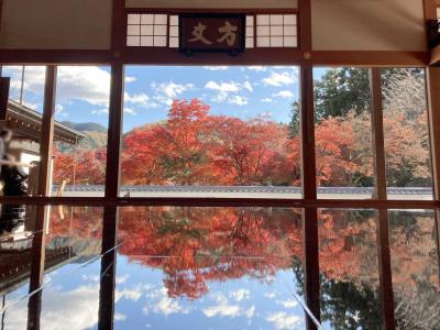 奇跡のリフレクション☆宝徳寺床もみじ