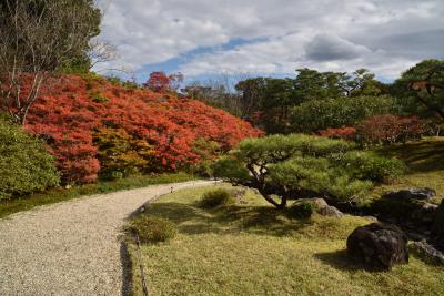 シニアの2021年、紅葉の季節ですねっ［１］　吉城園、依水園、奈良公園