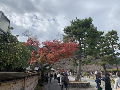 久しぶりの京都プチ旅行を満喫