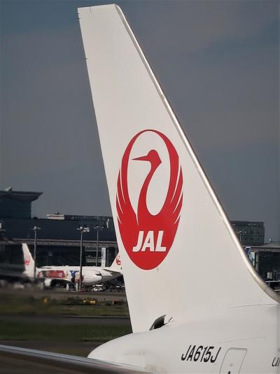 羽田空港 第１ターミナル　JAL315便　搭乗手続きタッチレスに　☆福岡往復-21,900円で