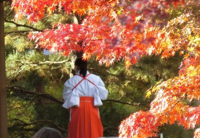 京都穴場の紅葉