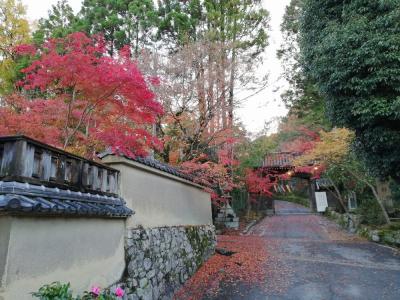 路線バスで京都を歩く2111　「市バス31号＆65号系統に乗って、紅葉の赤山禅院。」　～京都～