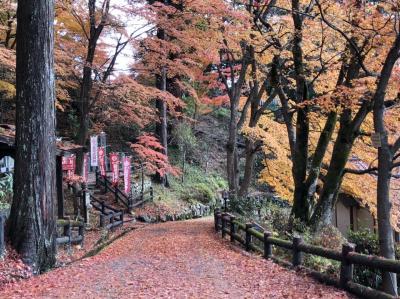 北陸観光フリーきっぷ　3泊4日一人旅5日目　下呂編