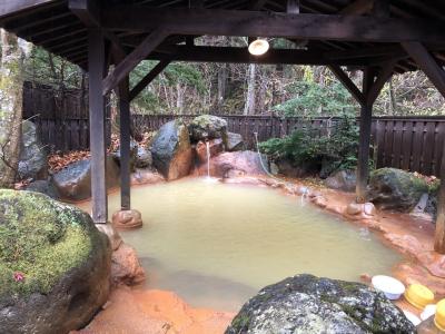 北陸観光フリーきっぷ　3泊4日一人旅4日目　平湯温泉編