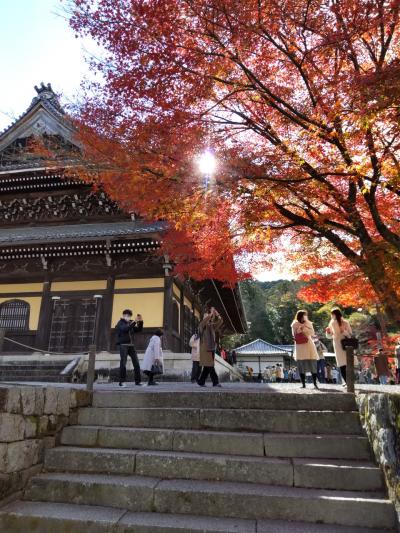 紅葉の京都 (4)   南禅寺・永観堂