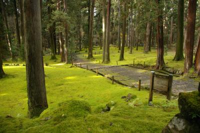 ふくふく福井2020(2) 静寂の苔の神社